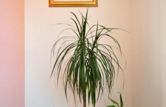 House Klarin - Foto 59