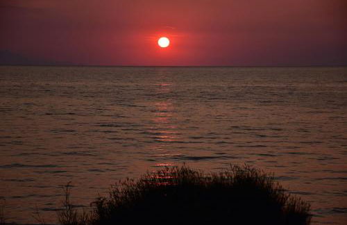 Salt and petals - Foto 53