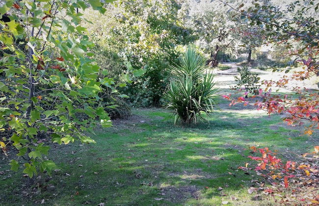 Apartamentos El Roble - Foto 10