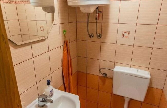 Vineyard cottage Na hribu - Photo 17