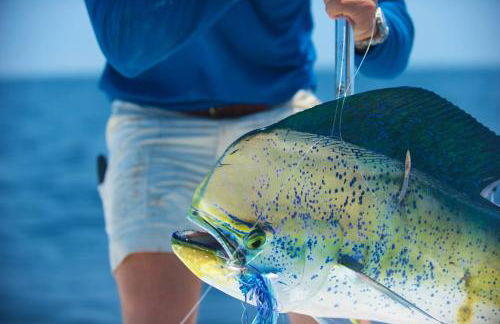 Copperheads 14th Hole Tee Box View - Foto 38