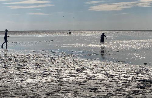 Ferienhaus Frische Brise direkt am Nordsee Deich - Foto 37
