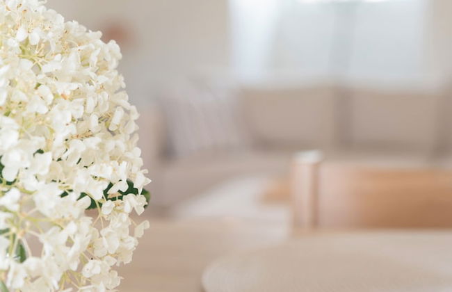 Falsterbo Beachside Apartments - Foto 38