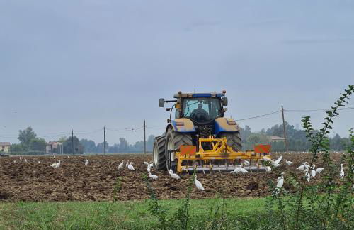 Apartament Cedro del Libano - Photo 32