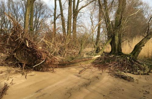 Bielenberg 37 - Foto 22