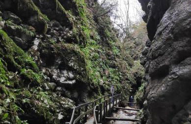 Casa zia Lidia - Foto 36