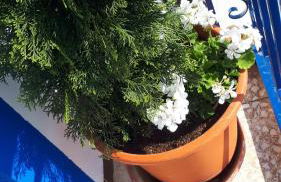 VILLA MARIA - Foto 17