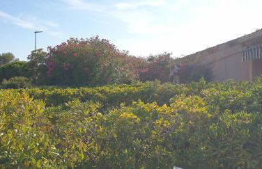 Presqu'ile de Giens, Maison Rdc avec Accès et Jardin Privés sans Vis-à-vis, Piscine, Plages à 2 min à pieds - Foto 14