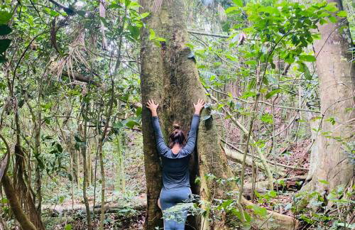 Vale Vijaya bem estar em meio à natureza - Foto 27