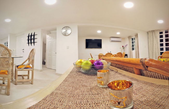 HominngBird - Foto 63