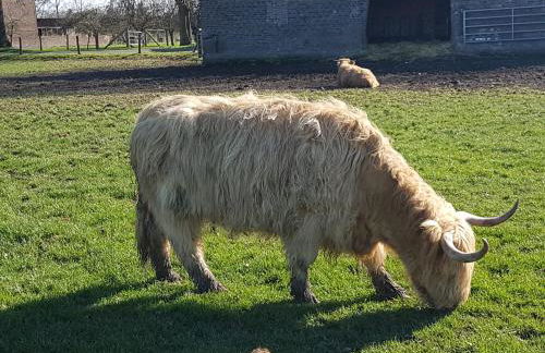 DOMizil Xanten - Foto 19