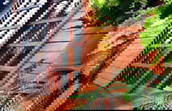 Woodland Gardens - Photo 42