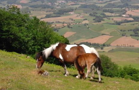 Appartement cosy au calme - Foto 19