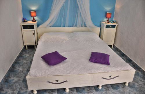 Tvrdic Honey - Photo 28