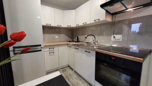 Apartamenty Parkowe nr 7 - Foto 5, stove