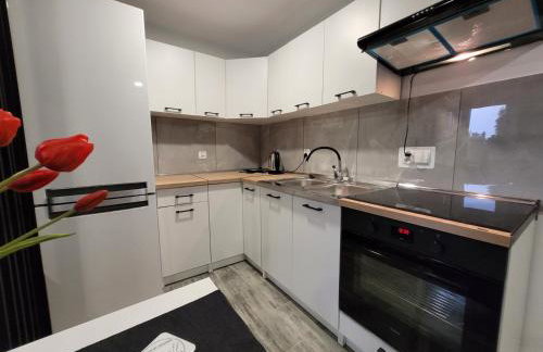 Apartamenty Parkowe nr 7 - Foto 5