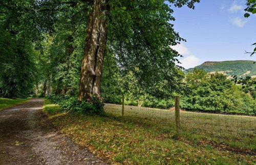 1 Bed in Abergavenny oc-47884 - Foto 15