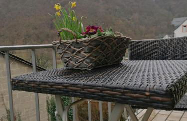 Ferienwohnungen Felten in Minheim - Foto 32