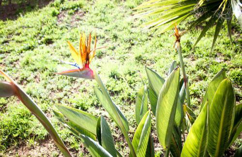 Salthouse Portugal - Exclusive Studio - Foto 18