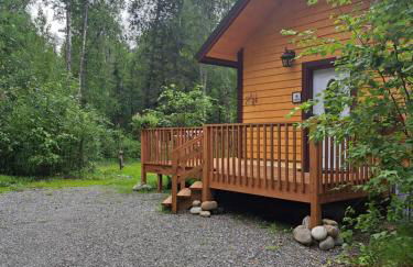 Talkeetna Fireweed cabin 2 - Foto 10