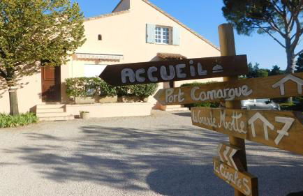 Les Bougainvillées de Camargue - Photo 3