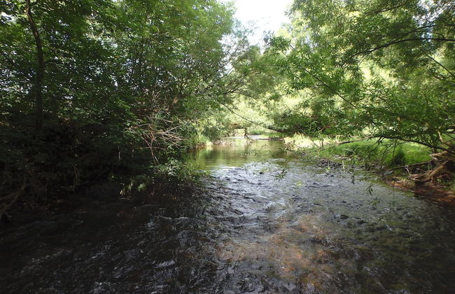 Modern Holiday Home in Eifel With Sauna - Foto 31