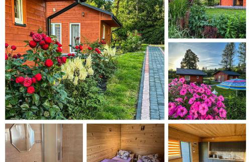 ZIELONY GAJ przy SOLINIE - Foto 1