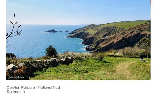 Dart Haven - cheerful holiday bungalow in Galmpton - Photo 20