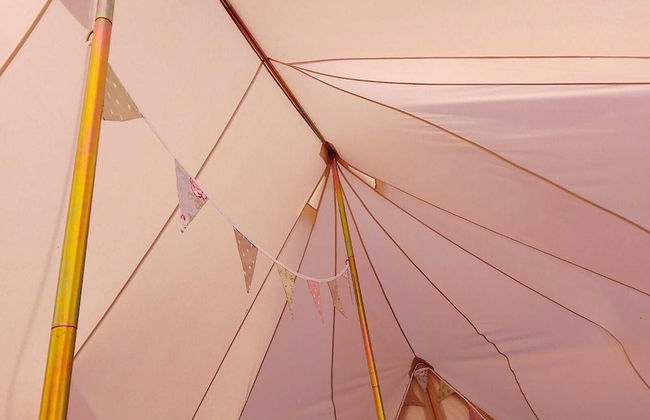 6m Emperor Tent, Near Whitby, With log Burner - Foto 8