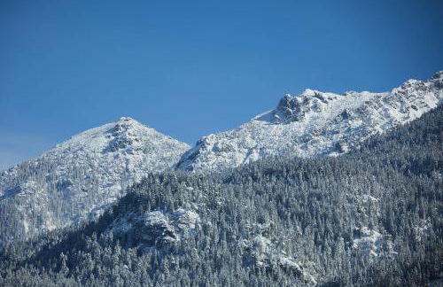 Ferienwohnung zum Hirschgarten - Foto 22