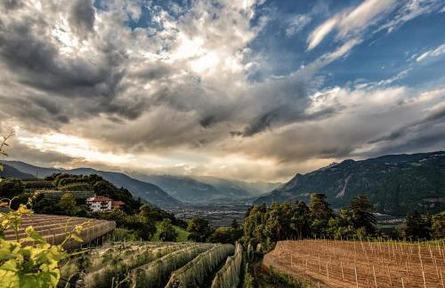 Florianshof - Foto 24