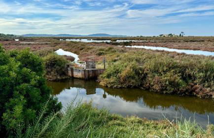 Le Club des Cigales - Foto 44