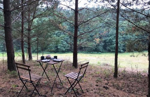 Na skraju gaju - Foto 39