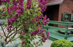 Siesta Country - Foto 47