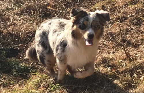 Ferienwohnung Lippert - Photo 22