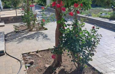 Liberty Cozy Apartment - Foto 29