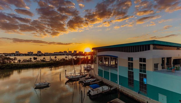 Acuario Clearwater Marine Aquarium - Foto 2