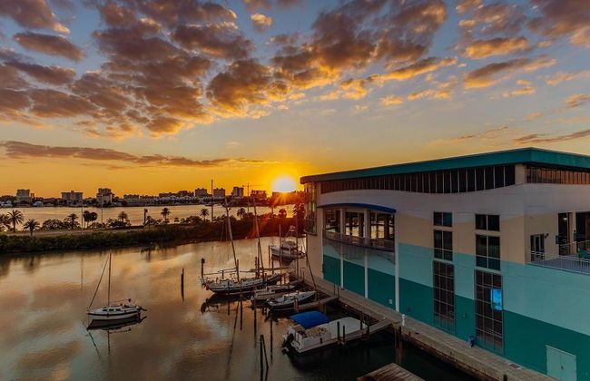 Acuario Clearwater Marine Aquarium - Foto 2
