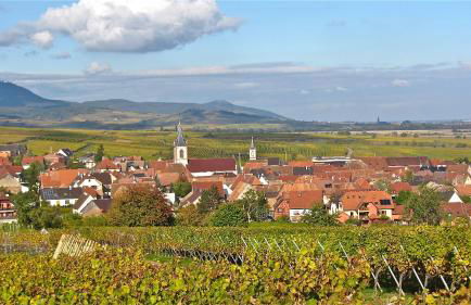 Gîte du Vignoble - Foto 11