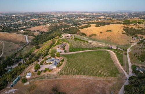 La Maison du Vin - Photo 9