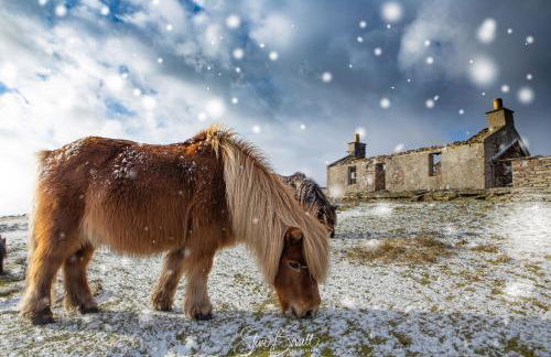 Voortrekker Shetland Holiday Apartments - Foto 26