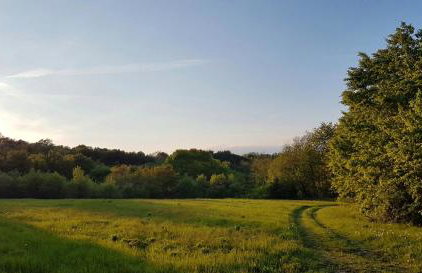 Holiday Apartment VILLA BIANCA - Photo 34