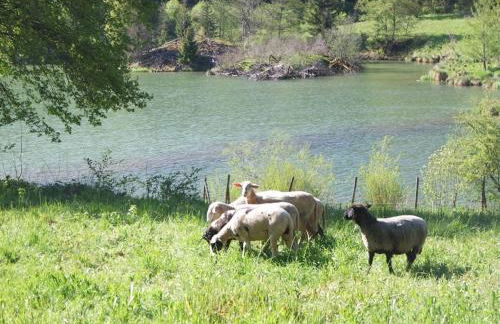 Holiday home with 3 bedrooms - Foto 26