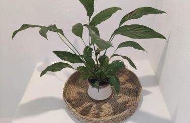 Agnanti Hotel - Foto 5