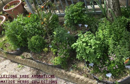 La Fabbrichina - Foto 54