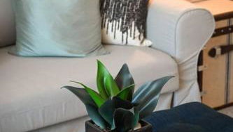 Adorable MtAdams 2BR near it all - Foto 2