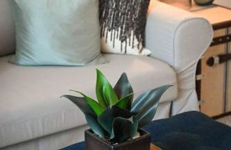 Adorable MtAdams 2BR near it all - Foto 2