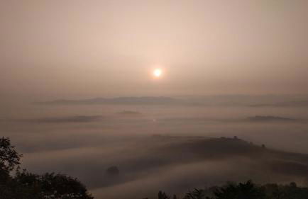 La Vigna Del Parroco - Foto 10