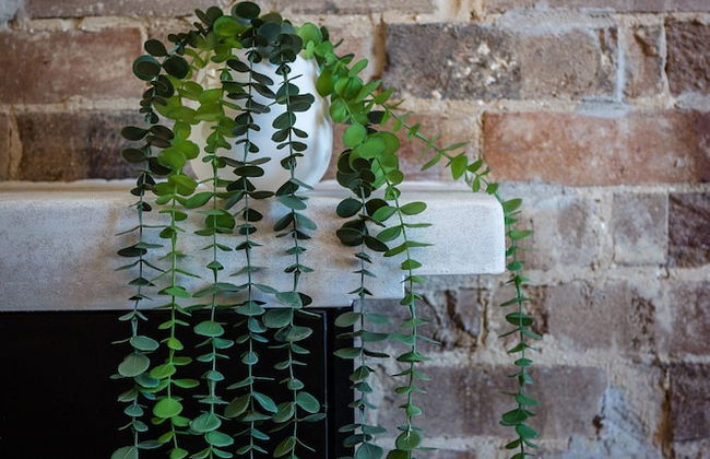 Grand Hotel Wyong - Foto 18