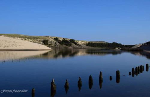 Moliets Plage Appartement pour 4 Piscine proche Plage et Commerces - Foto 3